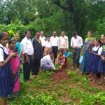 वृक्षारोपण